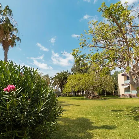 Ξενοδοχείο Palia Don Pedro Costa Del Silencio