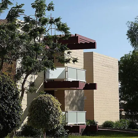 Palia Don Pedro Коста-дель-Силенцио