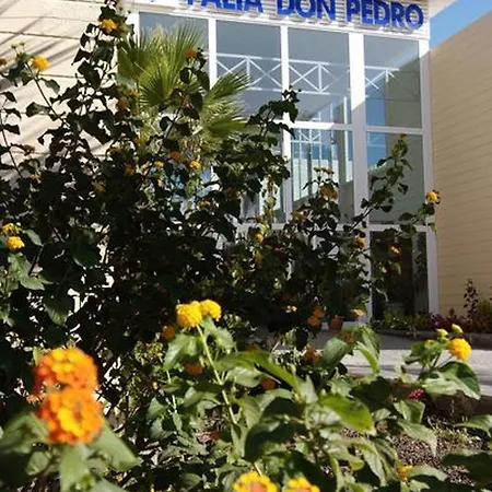 Palia Don Pedro ホテル