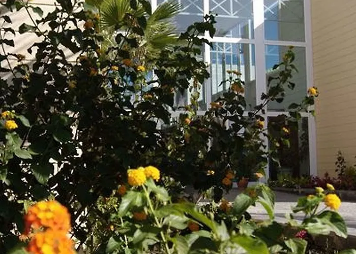 Palia Don Pedro Szálloda